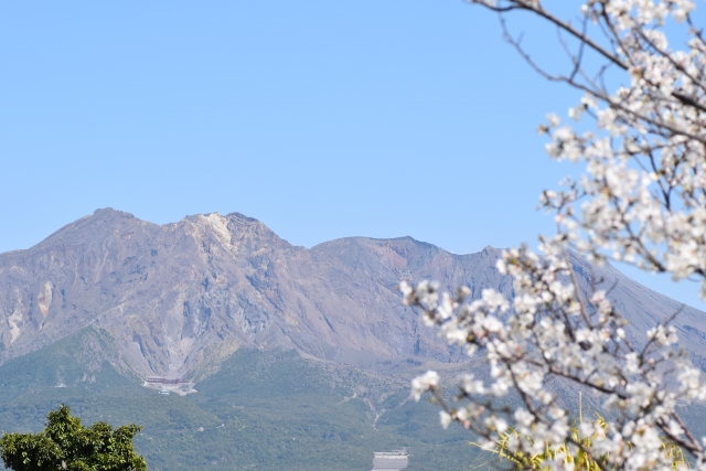 鹿児島県の桜の名所と開花情報 21 桜の名所と開花情報 Com