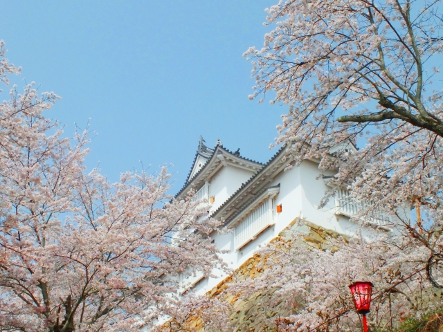 岡山県の桜の名所と開花情報 22 その１ 桜の名所と開花情報 Com