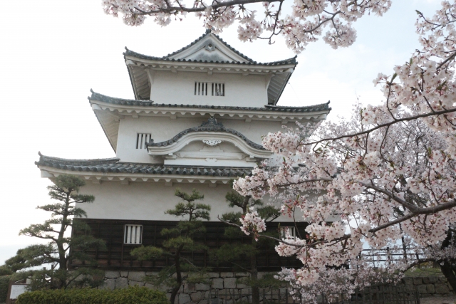 香川県の桜の名所と開花情報 22 桜の名所と開花情報 Com