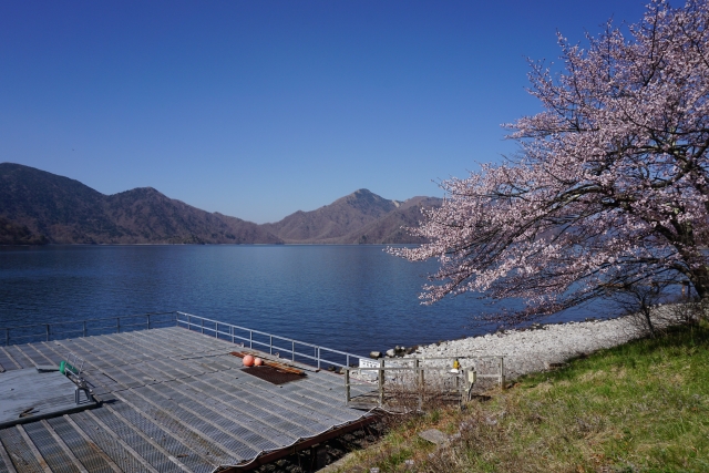 栃木県の桜の名所と開花情報 23 桜の名所と開花情報 Com