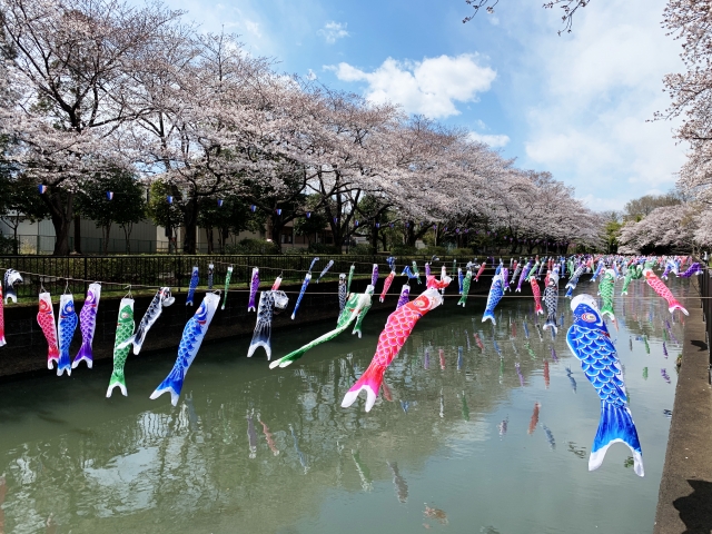 群馬県の桜の名所と開花情報 22 桜の名所と開花情報 Com