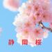 静岡の桜情報