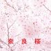 奈良の桜情報