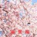 滋賀の桜情報